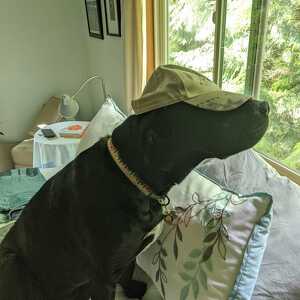 Fundraising Page: Senya Waas